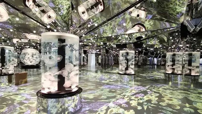 臺(tái)灣 Xpark 水族館，全方位沉浸式暢快游樂(lè)體驗(yàn)